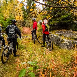 St Olavsleden cykel_2_Håkan Wike